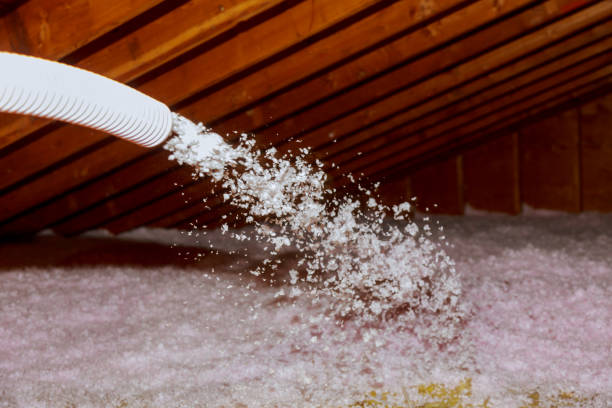 Best Insulation Repair Services  in Goldthwaite, TX