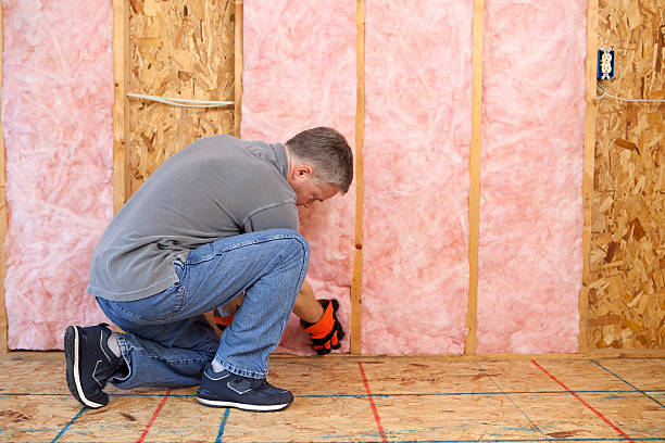 Best Fiberglass Insulation  in Goldthwaite, TX