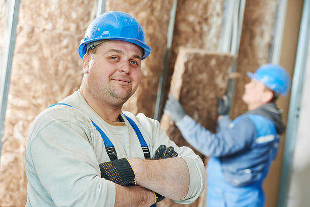 Best Cellulose Insulation  in Goldthwaite, TX